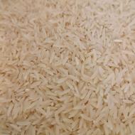 برنج فجر سوزنی