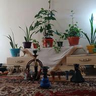 قلیان میوه ای