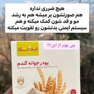 پودرجوانه گندم