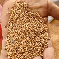 کنجد محلی پاک شده به قیمت کارخونه پخش مستقیم