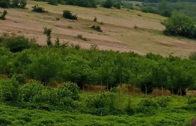 فروش زمین مسکونی روستایی