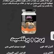 سیره سیاه دکتر بیر