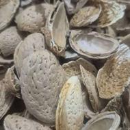 خریدار پوست بادام