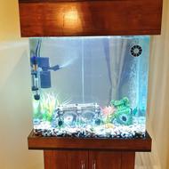 آکواریوم شیشه خم با لوازم کامل
