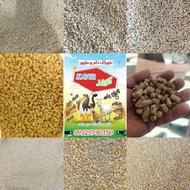 خوراک دام کویر