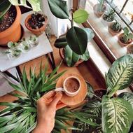 نظافت منازل و راه پله