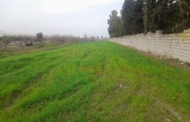 فروش زمین 2000متری صدمتری جاده اصلی متری 680میاندرود زیدسفلی