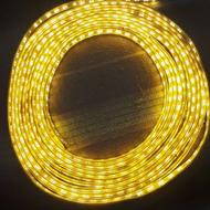 ریسه شلنگی انبه ای