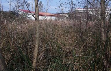 فروش زمین مسکونی رشت365متر 