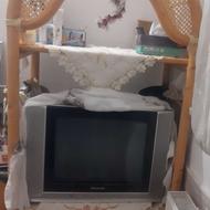 تلویزیون وضبط