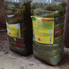 خیارشور محلی