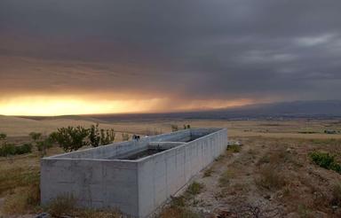 باغ و زمین کشاورزی دارای سند