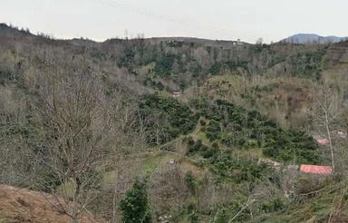 200,متر زمین مسکونی با همراه ب نامه مسکونی