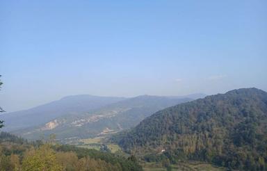 فروش زمین مسکونی 140 متر در عالم کلا