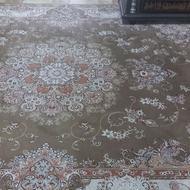 فرش 9متری گردوی