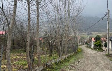  زمین ویلایی جنگلی استثنایی در سالار دره