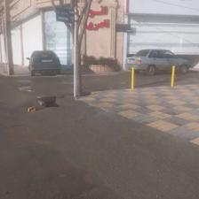 زمین بلوار جانبازان