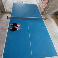 میز پینگ پونگ