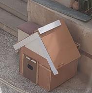 باکس با خانه سگ محکم