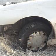 اردی پیکان 83