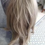 کلا،.کیس رویال استار