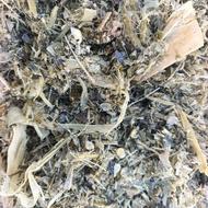 ذرت علوفه ای پردانه