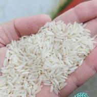 برنج ندا گرگان برای زیمن خودم اس