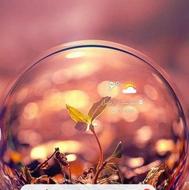 207 دنده ای بسیارتمیز سقف فلزی 120تاکارکرد داره