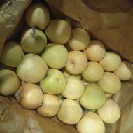 فروش سیب قرمز و سفید دو ردیف