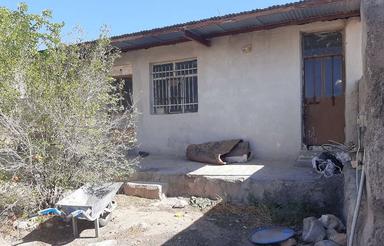 اجاره پرواربندی گوساله