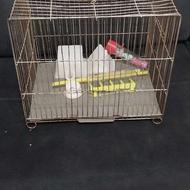 قفس متوسط و لوازم