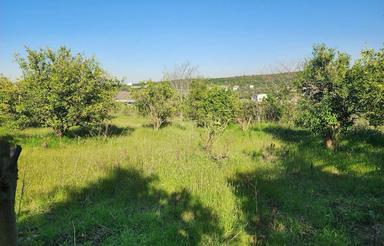 فروش زمین جهت احداث ویلا