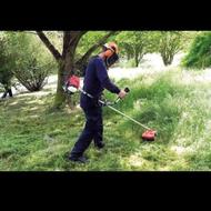 خدمات علف زنی وهرس کاری