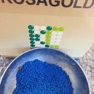 بذر چغندر رزاگلد