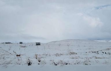 باغچه دراهر