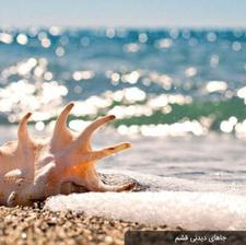 تور قشم ویژه اسفند نوروز 1405