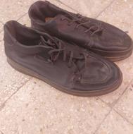 کفش اسپرت سایز43