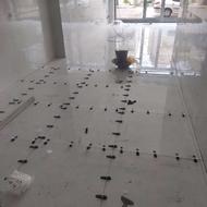 شاگرد کاشی کار