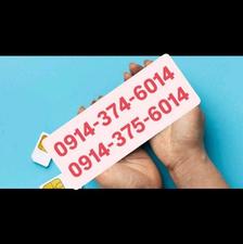 سیمکارت دائمی دو قلو0914.374.6014