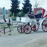 کالسکه اسب درشکه