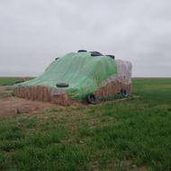 کاه،شالی کمل امسال ماله گنبده