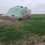 کاه،شالی کمل امسال