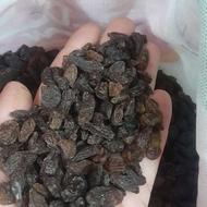 کشمش گله آفتابی موقعیت کاشمر