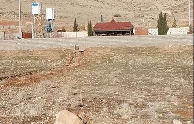 فروش زمین در قلات