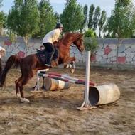 آموزش سوارکاری در کرج