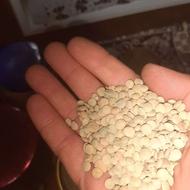 عدس ارگانیک