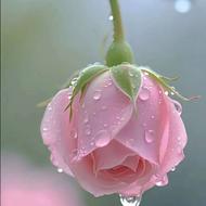 میکاپ عروس فقط 50درصد تخفیف ویژه