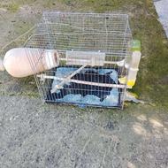 قفس مرغ عشق وپرنده