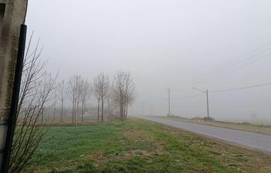 فروش 40 هکتار زمین کشاورزی با چاه آب