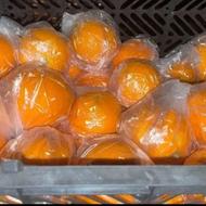 پرتقال شیرین آب دار تامسون